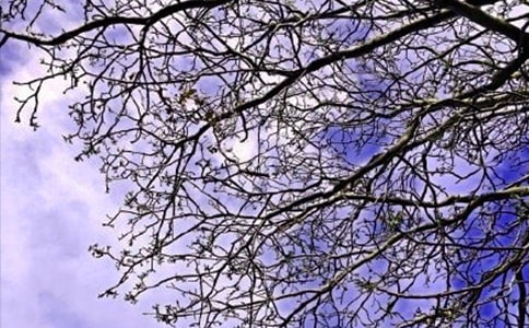 2021�꺆�εĜ�ܰ���簲���Z����Ȧժ�41��