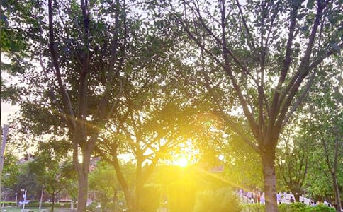 2022�ꌍ(sh��)�õĄ�(l��)־�簲�Z(y��)䛼���45��