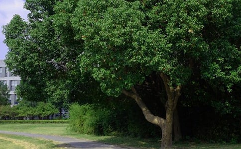 �����A��2022�ꃞ(y��u)�����簲���Z����Ȧ����36�l