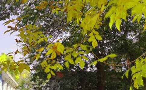 �����]���簲��־���Z䛼���56��