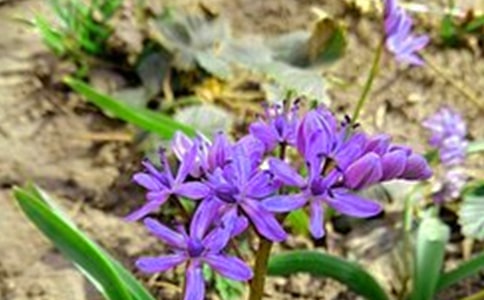 2024�����P(gu��n)�簲�������QQ�R��66�l