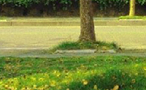 2022�꺆�����簲��־���Z�37�l