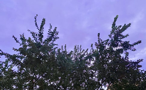 �����T�����õ��簲���Z����Ȧ37��