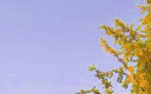 �����簲�������QQ26�l