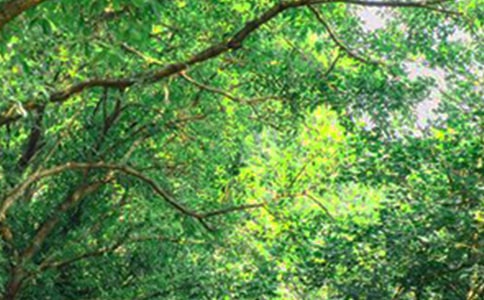 �簲��־�Z䛡�����