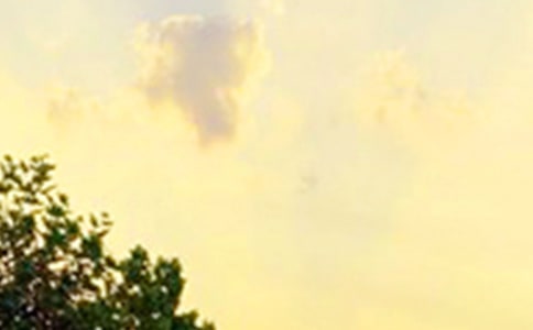 2022��ͨ�Ä�־�簲�Z�ժ�87�l