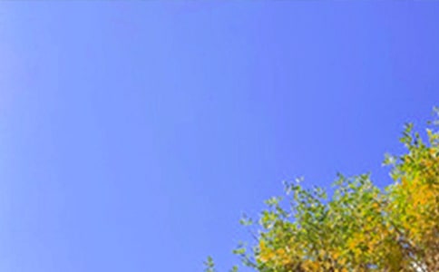 �������\���簲���Z����Ȧ18��