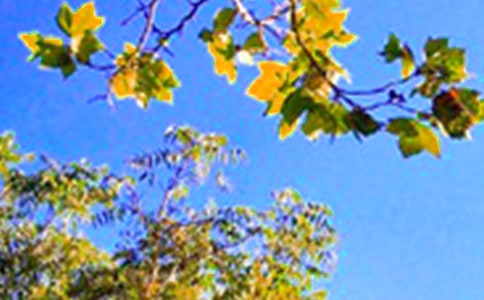 ��(l��)־�簲�Z䛅R��200�侫�x