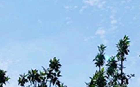 �����T���簲��־���Z�34�l