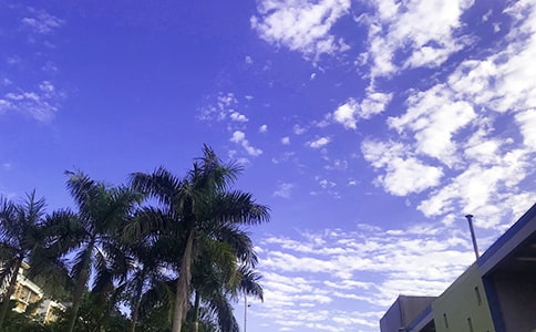 2022�꺆���Ą�(l��)־�簲�Z䛼��\84��