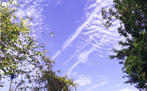 ��(j��ng)���簲����Ȧ�����Z19��