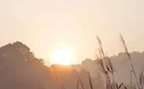 �簲��(l��)־�Z(y��)�ͨ��15ƪ