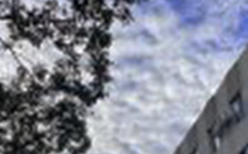 �簲����Z䛼��\11ƪ