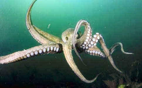 �P���ܶY��ɳĮ���~ǧ�q�m�������f������x�}����