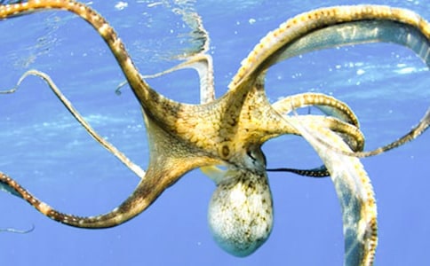 ���~�����~�ą^(q��)�e