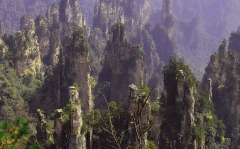 ����ď��ҽ����꼉����