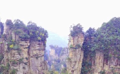 �P(gu��n)�ڏ��ҽ����꼉����8ƪ