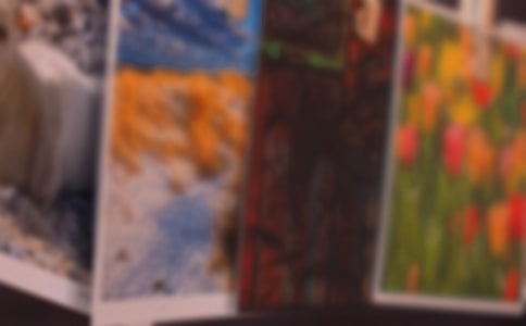 一張真實(shí)的照片作文500字