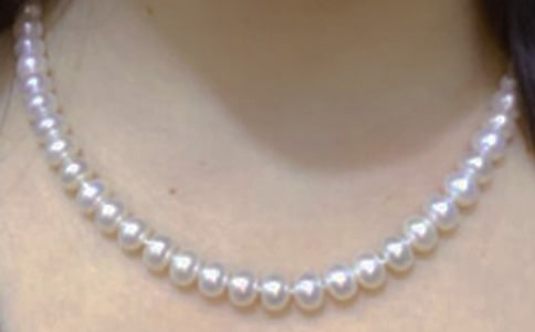 �������c�I�顷�̌W�OӋ