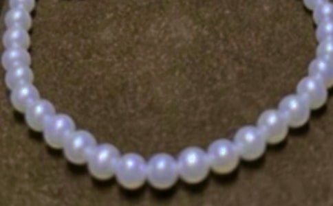 我的珍珠兔作文1000字