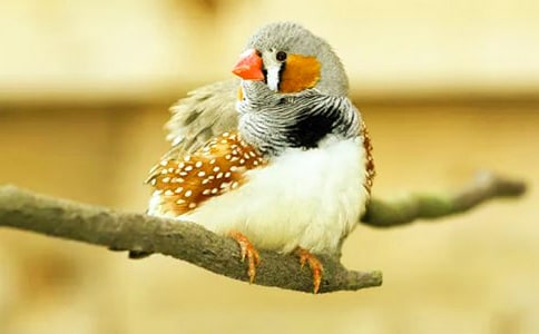 �P(gu��n)�ڡ������B�����f�n��