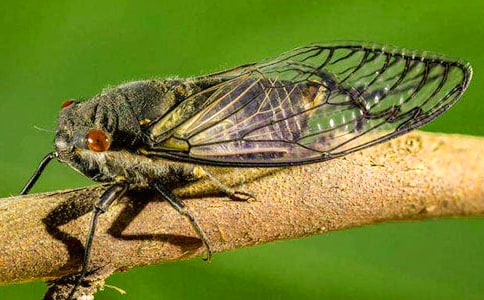 С�W����750�֣�׽֪�˺