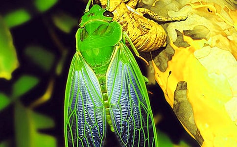 ��Ҋ(ji��n),֪�����꼉(j��)����