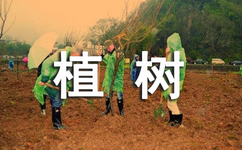 С�W���꼉�ԡ�ֲ��ļ���(ji��)���̌W�OӋ