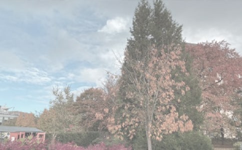 ֲ��@�{(di��o)�Ј�(b��o)��2ƪ