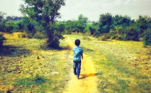 ������ֶ��ӆ�������o���ģ�ͨ��7ƪ��