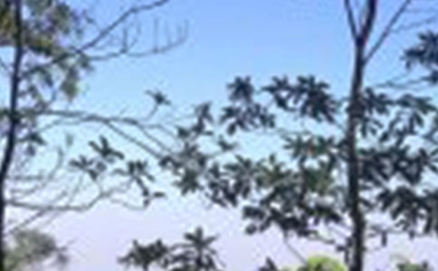 �茑����ă�(y��u)������