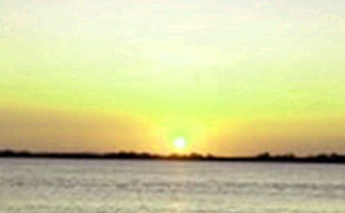 ����õ�Ӣ����ʲô