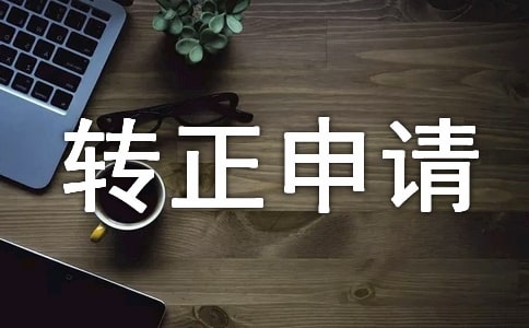 駕駛員轉(zhuǎn)正申請書范文
