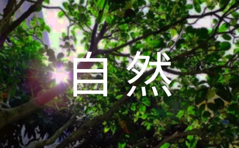 ���ܴ���Ȼ�ľ���11ƪ