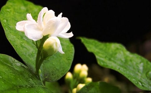 ͬ����������1000��