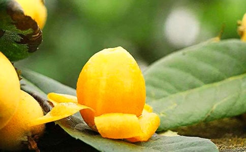 ���P(gu��n)���˘�����ģ�ͨ��37ƪ��