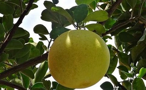 ���P(gu��n)�����ӵ�����4ƪ