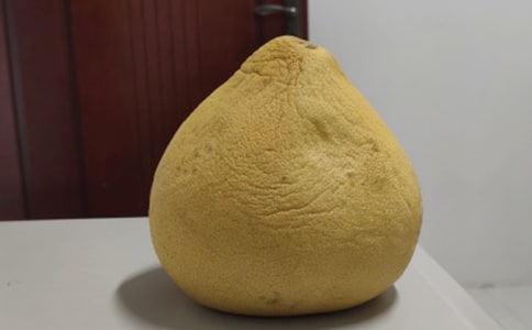 六年級(jí)柚子作文