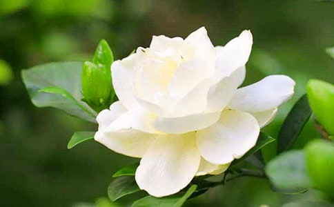 �d�ӻ����꼉(j��)����