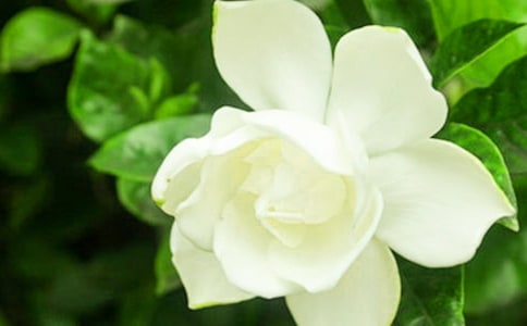 �d�ӻ��Ļؑ���ӛ