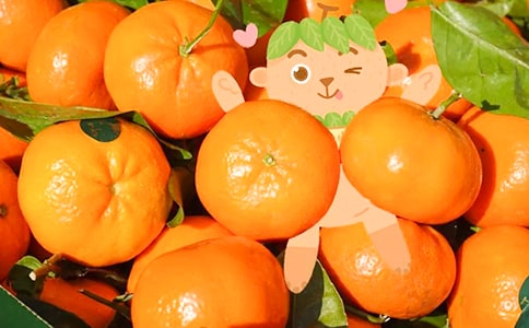 ���꼉(j��)�����ҵĲ�����֮��