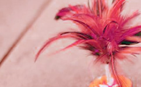 毽球校本課程教學(xué)計劃