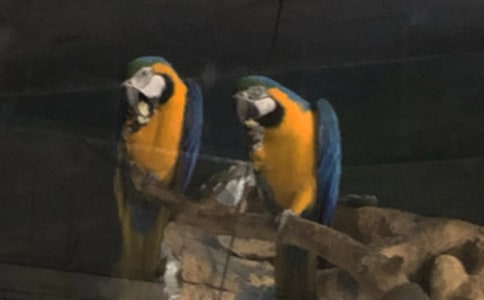 ��(gu��)�����W�^��ͯԒ����