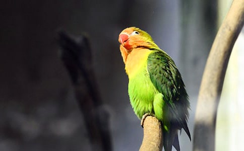 һֻ���ص��W�^���꼉(j��)���ģ����x58ƪ��