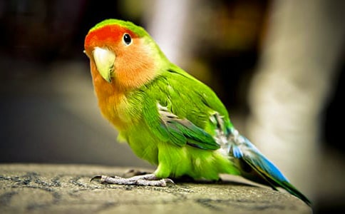 �Һ̓�ֻС�W�^-���꼉(j��)����