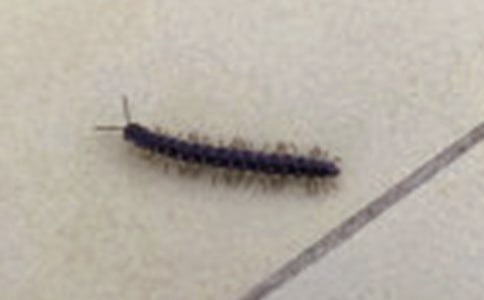 ��(l��)־���ģ��B(y��ng)ֳˎ�����K�¸�