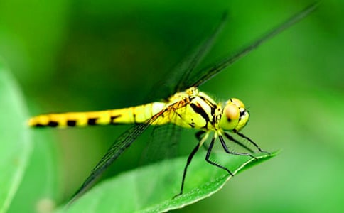 С���Z�ԡ�׽���ѡ��ă�(y��u)��̌W(xu��)�O(sh��)Ӌ(j��)