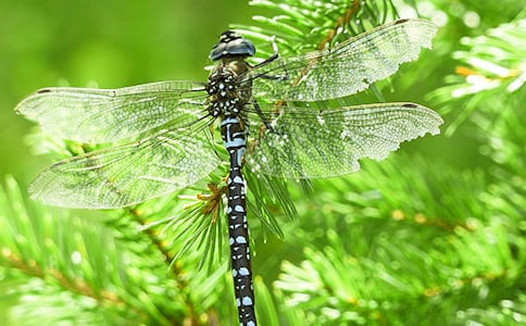 С���Z(y��)�Խ̰�׽����