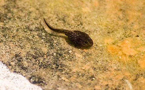 С����ҋ����Ľ̰����ģ����x5ƪ��