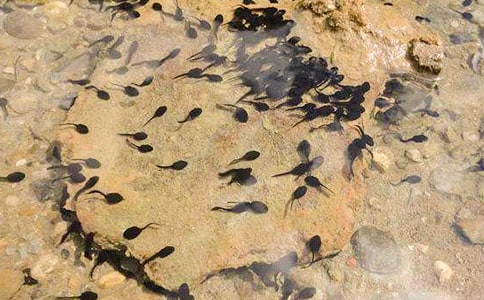 �n�ġ�С����ҋ������̰�����